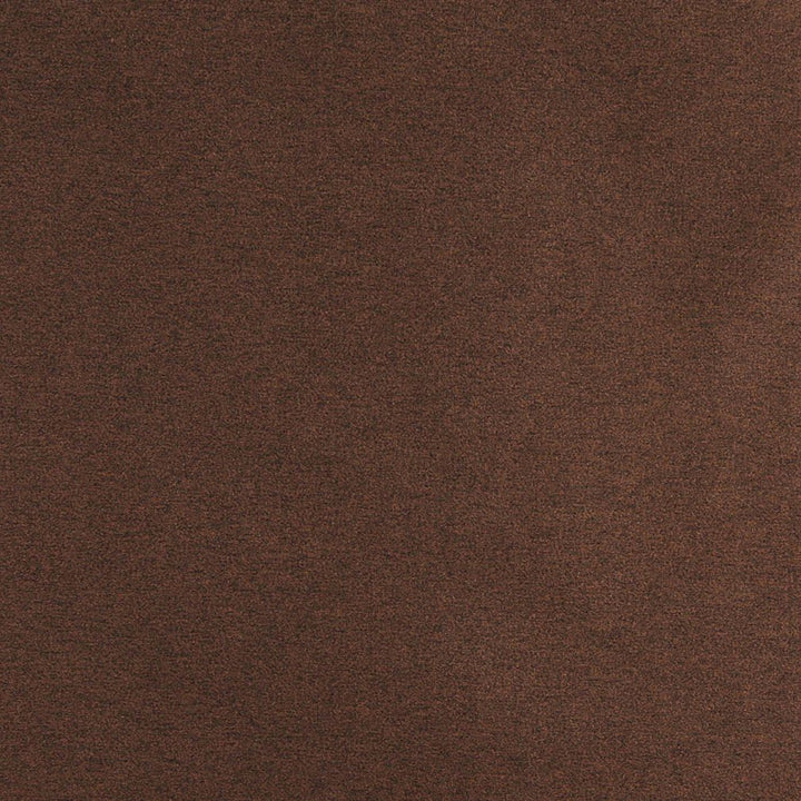 3202 Pecan by Charlotte Designer Fabric Ring Book Page #6 100% Woven Polyester Asia Exceeds 240,000 Wyzenbeek Rubs (Heavy Duty) </p><p>Repeat: 54 Inches - Swanky Fabrics -