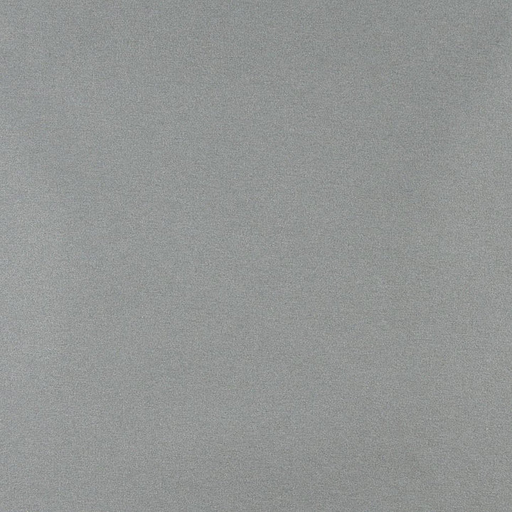 3203 Mist by Charlotte Designer Fabric Ring Book Page #6 100% Woven Polyester Asia Exceeds 100,000 Wyzenbeek Rubs (Heavy Duty) No Repeat 54 Inches - Swanky Fabrics -