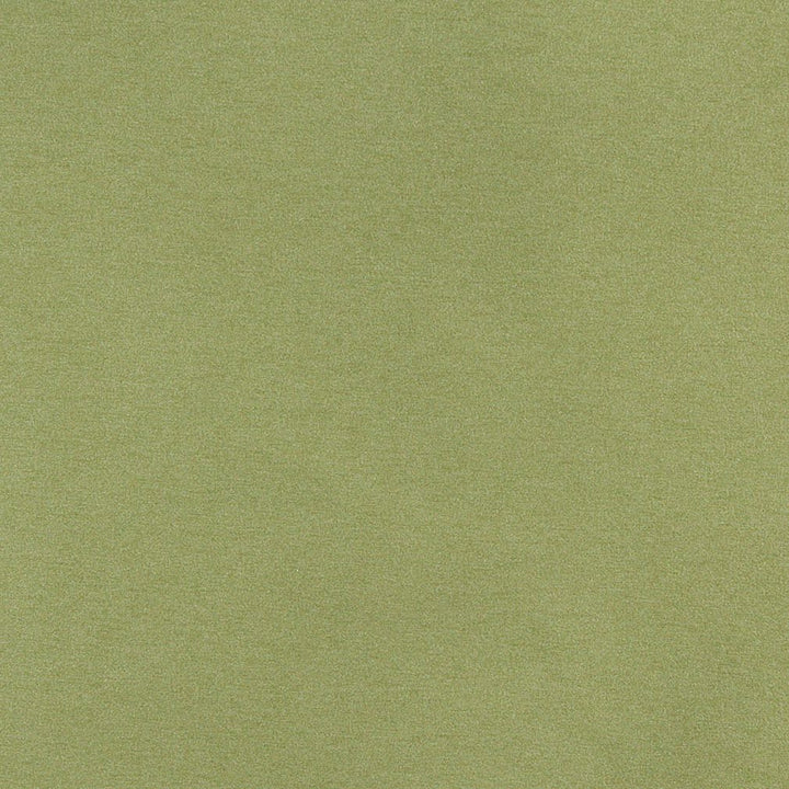 3204 Spring by Charlotte Designer Fabric Ring Book Page #6 100% Woven Polyester Asia Exceeds 100,000 Wyzenbeek Rubs (Heavy Duty) No Repeat 54 Inches - Swanky Fabrics -
