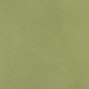 3204 Spring by Charlotte Designer Fabric