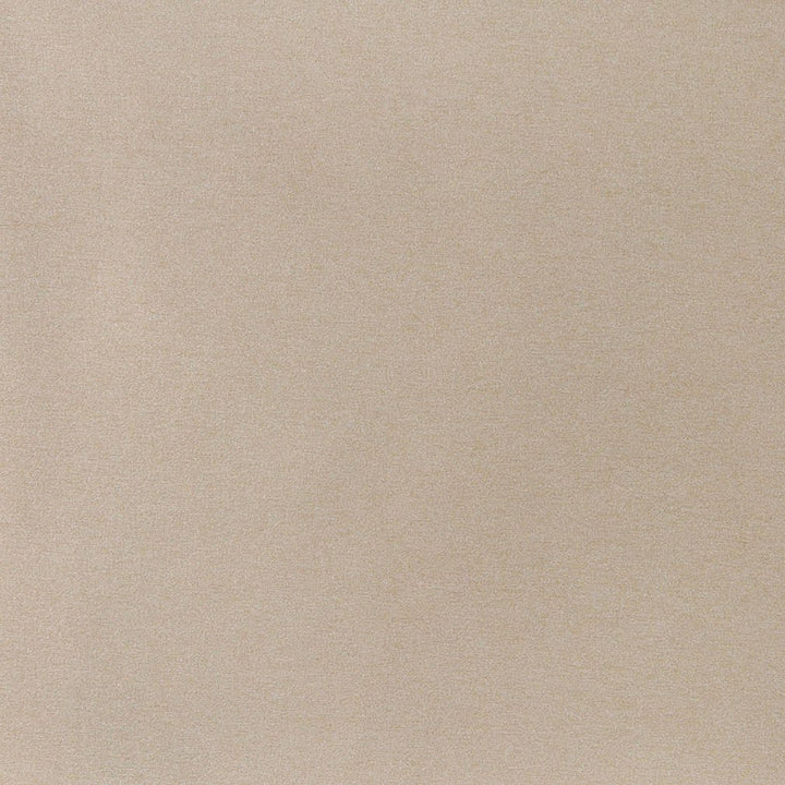 3207 Sand by Charlotte Designer Fabric Ring Book Page #6 100% Woven Polyester Asia Exceeds 100,000 Wyzenbeek Rubs (Heavy Duty) No Repeat 54 Inches - Swanky Fabrics -