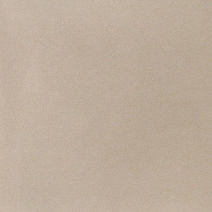 3207 Sand by Charlotte Designer Fabric