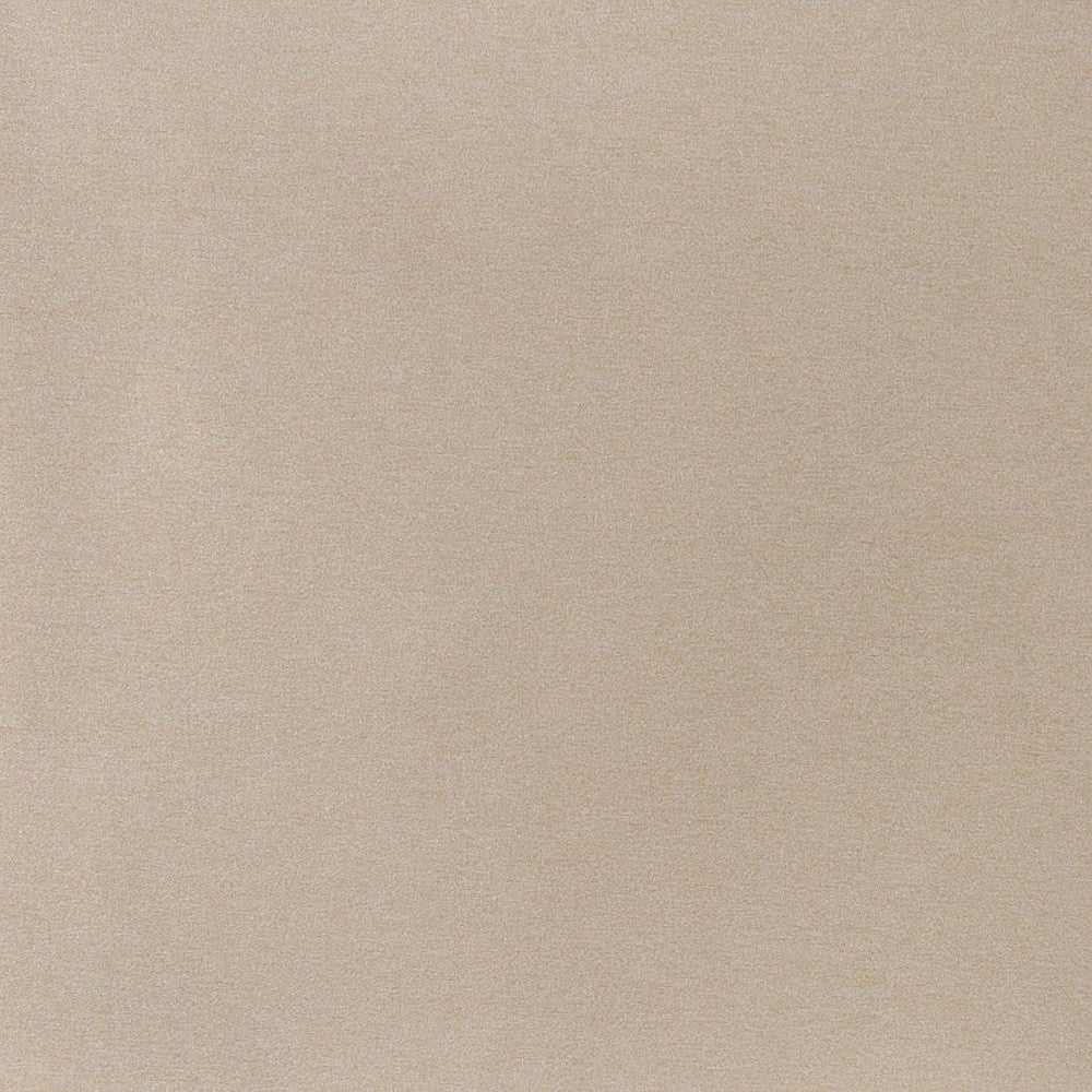 3207 Sand by Charlotte Designer Fabric Ring Book Page #6 100% Woven Polyester Asia Exceeds 240,000 Wyzenbeek Rubs (Heavy Duty) </p><p>Repeat: 54 Inches - Swanky Fabrics -