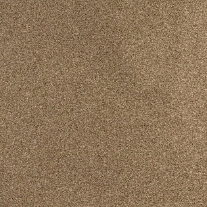 3209 Moss by Charlotte Designer Fabric Ring Book Page #6 100% Woven Polyester Asia Exceeds 100,000 Wyzenbeek Rubs (Heavy Duty) No Repeat 54 Inches - Swanky Fabrics -