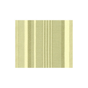 Just Curious Mineral by Kravet Couture Designer Fabric