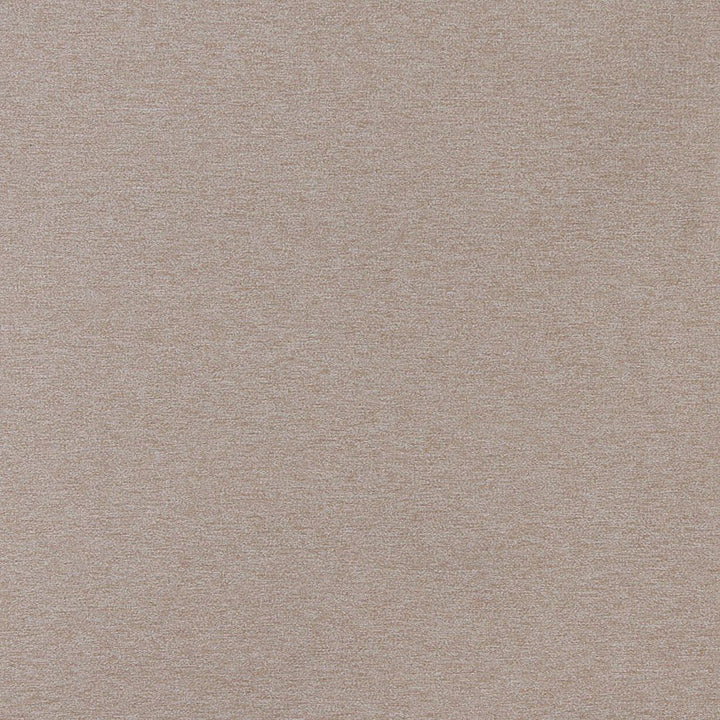 3211 Dune by Charlotte Designer Fabric Ring Book Page #6 100% Woven Polyester Asia Exceeds 100,000 Wyzenbeek Rubs (Heavy Duty) No Repeat 54 Inches - Swanky Fabrics -
