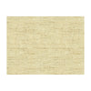Glenoaks Champagne by Kravet Basics Designer Fabric