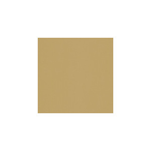 Sarasota Toast by Kravet Basics Designer Fabric
