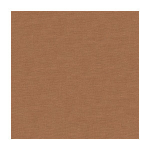 Dublin Shell by Kravet Basics Designer Fabric