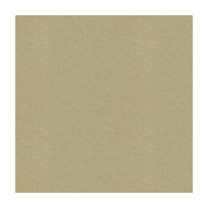 Dublin Linen by Kravet Basics Designer Fabric