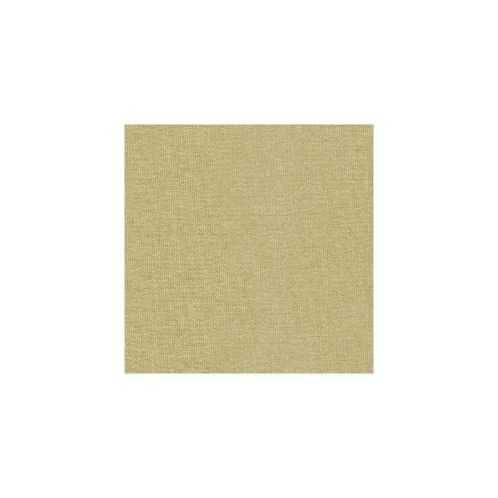 Mistik Reed by Kravet Couture Designer Fabric CALVIN KLEIN COLLECTION COTTON - 64%;VISCOSE - 36% Italy HEAVY Horizontal: and Vertical: 55 - Swanky Fabrics -
