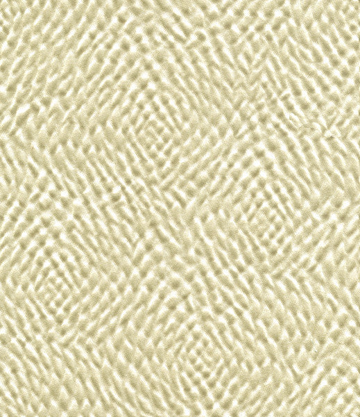 32405.1116 by Kravet Couture Designer Fabric our website for purchase Cotton 46%, Silk 28%, Acrylic 26% India see sample Horizontal: see sample and Vertical: see sample 51.5 inches - Swanky Fabrics -