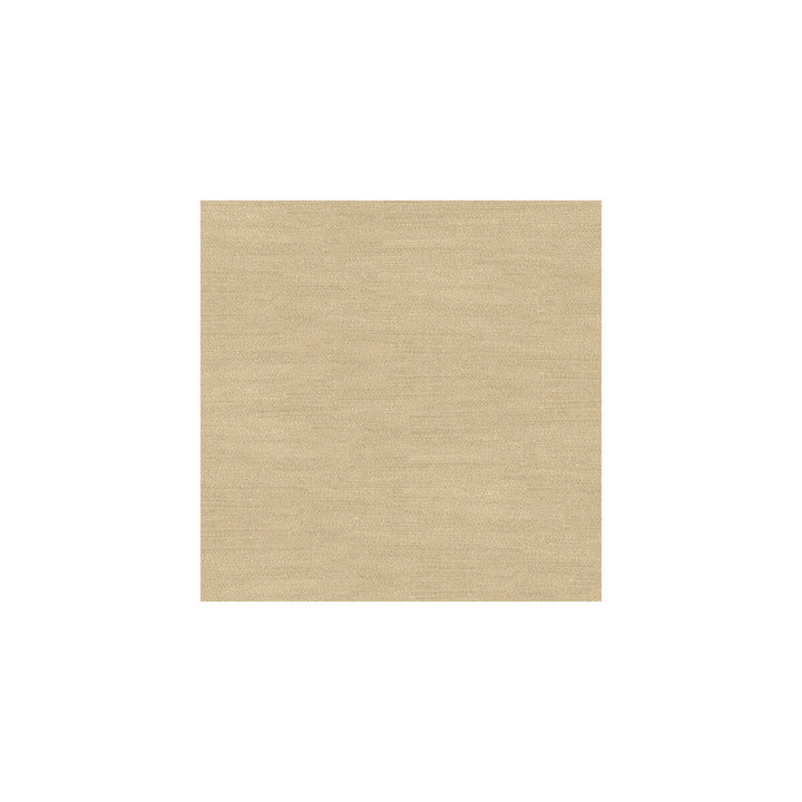 Wali Nomad by Kravet Couture Designer Fabric CALVIN KLEIN COLLECTION POLYESTER - 45%;LINEN - 35%;VISCOSE - 20% Turkey Horizontal: and Vertical: 54 - Swanky Fabrics -