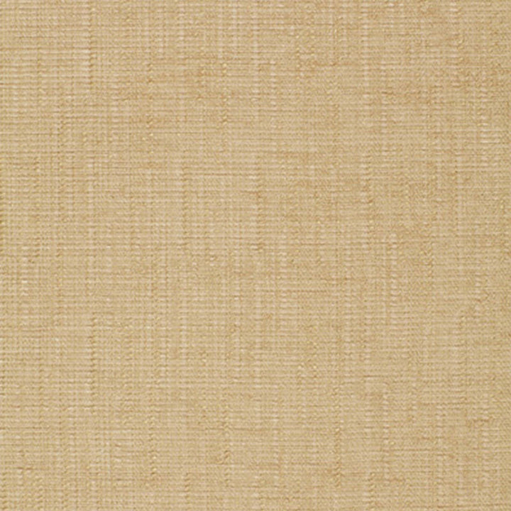 Malaysian Dream Straw 3246011 by Schumacher Fabric Schumacher Fabric Malaysian Dream Straw 3246011Fabric RAYON 61% UNITED STATES OF AMERICA </p><p>Repeat: H: , V: 54 - Fabric Carolina -