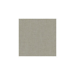 Bacio Sterling by Kravet Basics Designer Fabric