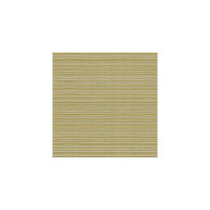 Campania Kiwi by Kravet Basics Designer Fabric