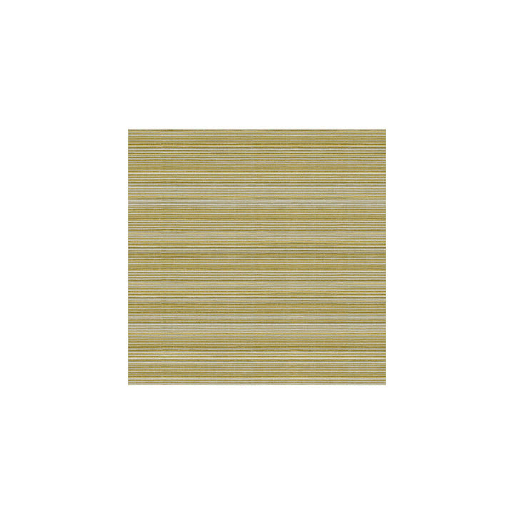 Campania Kiwi by Kravet Basics Designer Fabric COTTON - 64%;POLYESTER - 36% Taiwan LIGHT Horizontal: and Vertical: 54 - Swanky Fabrics -
