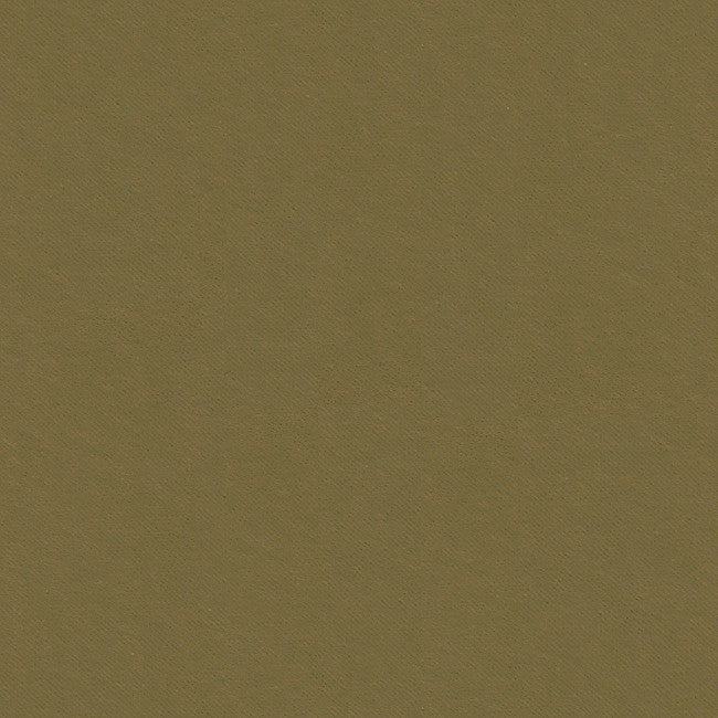 32565.106 by Kravet Smart Designer Fabric Gis Polyester 83%, Cotton 17% Korea, Republic of Heavy Horizontal: see sample and Vertical: see sample 55 inches - Swanky Fabrics -