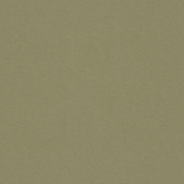32565.11 by Kravet Smart Designer Fabric in our sample Polyester 83%, Cotton 17% Korea, Republic of Heavy Horizontal: See Sample and Vertical: See Sample 55 inches - Swanky Fabrics -