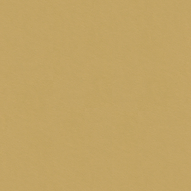 32565.1616 by Kravet Smart Designer Fabric Gis Polyester 83%, Cotton 17% Korea, Republic of Heavy Horizontal: see sample and Vertical: see sample 55 inches - Swanky Fabrics -