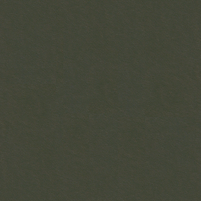 32565.2121 by Kravet Smart Designer Fabric Gis Polyester 83%, Cotton 17% Korea, Republic of Heavy Horizontal: see sample and Vertical: see sample 55 inches - Swanky Fabrics -