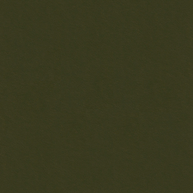 32565.811 by Kravet Smart Designer Fabric Gis Polyester 83%, Cotton 17% Korea, Republic of Heavy Horizontal: see sample and Vertical: see sample 55 inches - Swanky Fabrics -