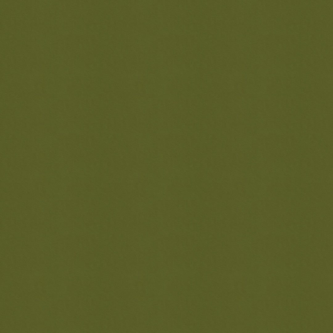 Remix - Cactus REMIX.130.0 by Kravet Contract Designer Fabric