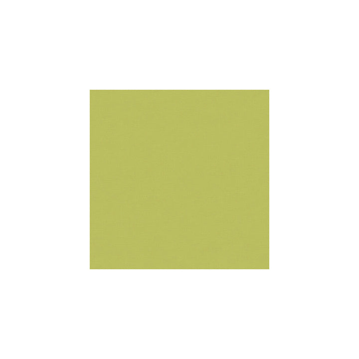 Flirt Prairie by Kravet Basics Designer Fabric PERFECT PLAINS COTTON - 61%;POLYESTER - 39% India HEAVY Horizontal: and Vertical: 54 - Swanky Fabrics -