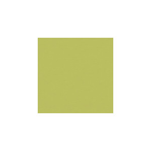 Flirt Prairie by Kravet Basics Designer Fabric