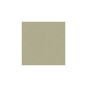 Broadmoor Grey by Kravet Basics Designer Fabric