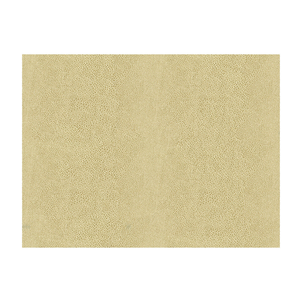 Chic Shagreen White Gold by Kravet Couture Designer Fabric MODERN LUXE POLYESTER - 82%;COTTON - 18% Italy HEAVY Horizontal: 13.5 and Vertical: 55 - Swanky Fabrics -