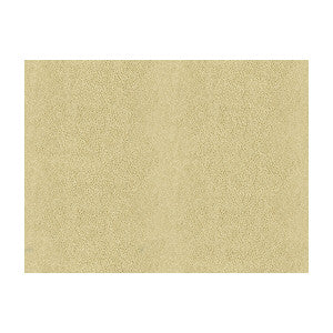 Chic Shagreen White Gold by Kravet Couture Designer Fabric