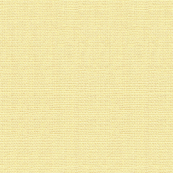 32787.1606 by Kravet Design Designer Fabric Exotic Travels Linen 100% Brazil Light Horizontal: see sample and Vertical: see sample 54 inches - Swanky Fabrics -