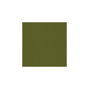 Delta Loden by Kravet Contract Designer Fabric