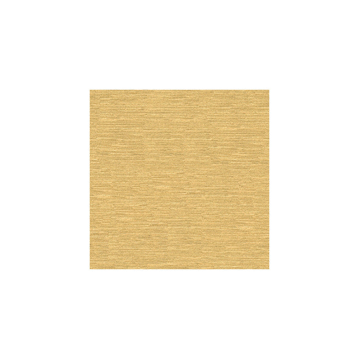 32877-116 by Kravet Smart Designer Fabric VISCOSE - 70%;POLYESTER - 30% Turkey HEAVY Horizontal: and Vertical: 55 - Swanky Fabrics -