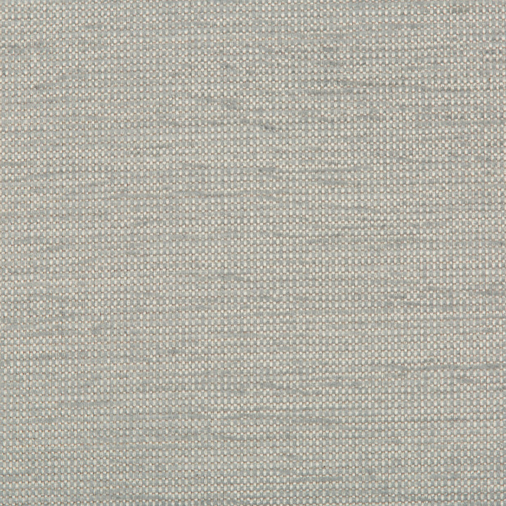 Cato Moonstone by Kravet Contract Designer Fabric GIS CRYPTON COTTON - 52%;POLYESTER - 48% United States HEAVY Horizontal: and Vertical: 54 - Swanky Fabrics -