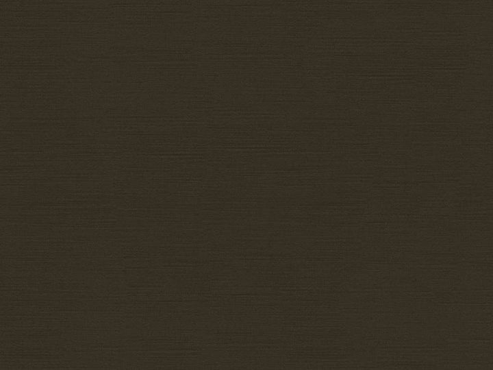 32950.2121 by Kravet Couture Designer Fabric in our sample Viscose 100% Italy Heavy Horizontal: See Sample and Vertical: See Sample 55 inches - Swanky Fabrics -