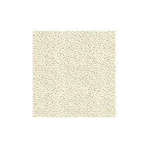 Polka Dot Plush Natural by Kravet Couture Designer Fabric