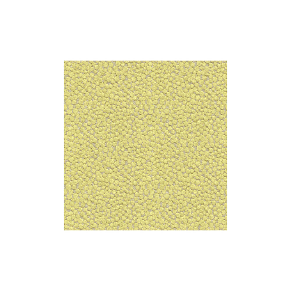Polka Dot Plush Wasabi by Kravet Couture Designer Fabric MODERN COLORS III VISCOSE - 55%;COTTON - 25%;POLYESTER - 20% Belgium HEAVY Horizontal: 7 and Vertical: 7 54 - Swanky Fabrics -