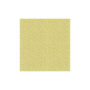 Polka Dot Plush Wasabi by Kravet Couture Designer Fabric
