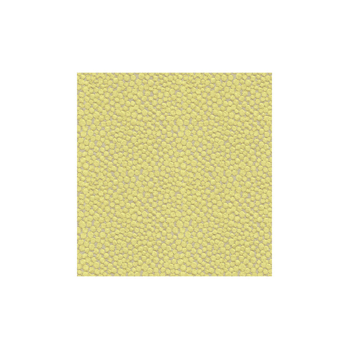 Polka Dot Plush Wasabi by Kravet Couture Fabric Kravet Couture Fabric Polka Dot Plush WasabiFabric MODERN COLORS III VISCOSE - 55%;COTTON - 25%;POLYESTER - 20% Belgium </p><p>Repeat: H: 7, V: 7 54 - Fabric Carolina -