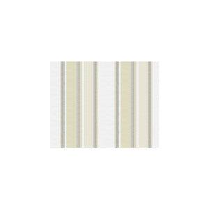 Scollard Champagne by Kravet Basics Designer Fabric
