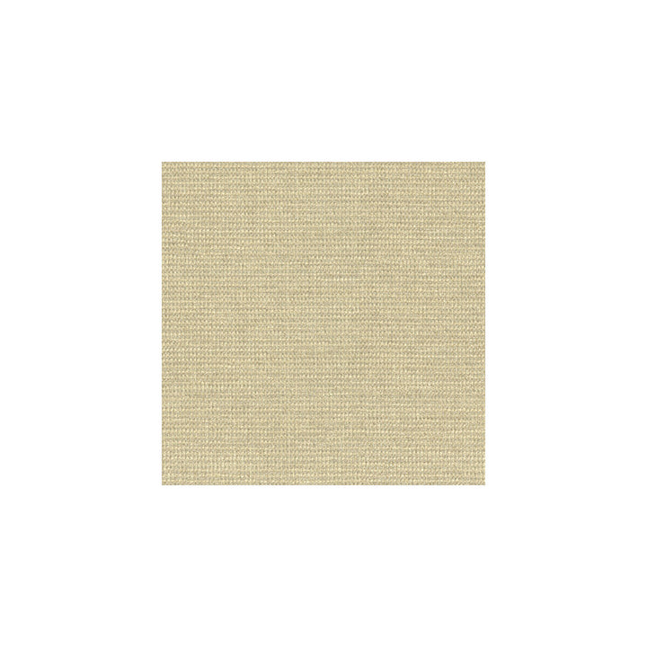 33027-116 by Kravet Smart Designer Fabric RAYON - 100% United States HEAVY Horizontal: 27 and Vertical: 58.5 - Swanky Fabrics -
