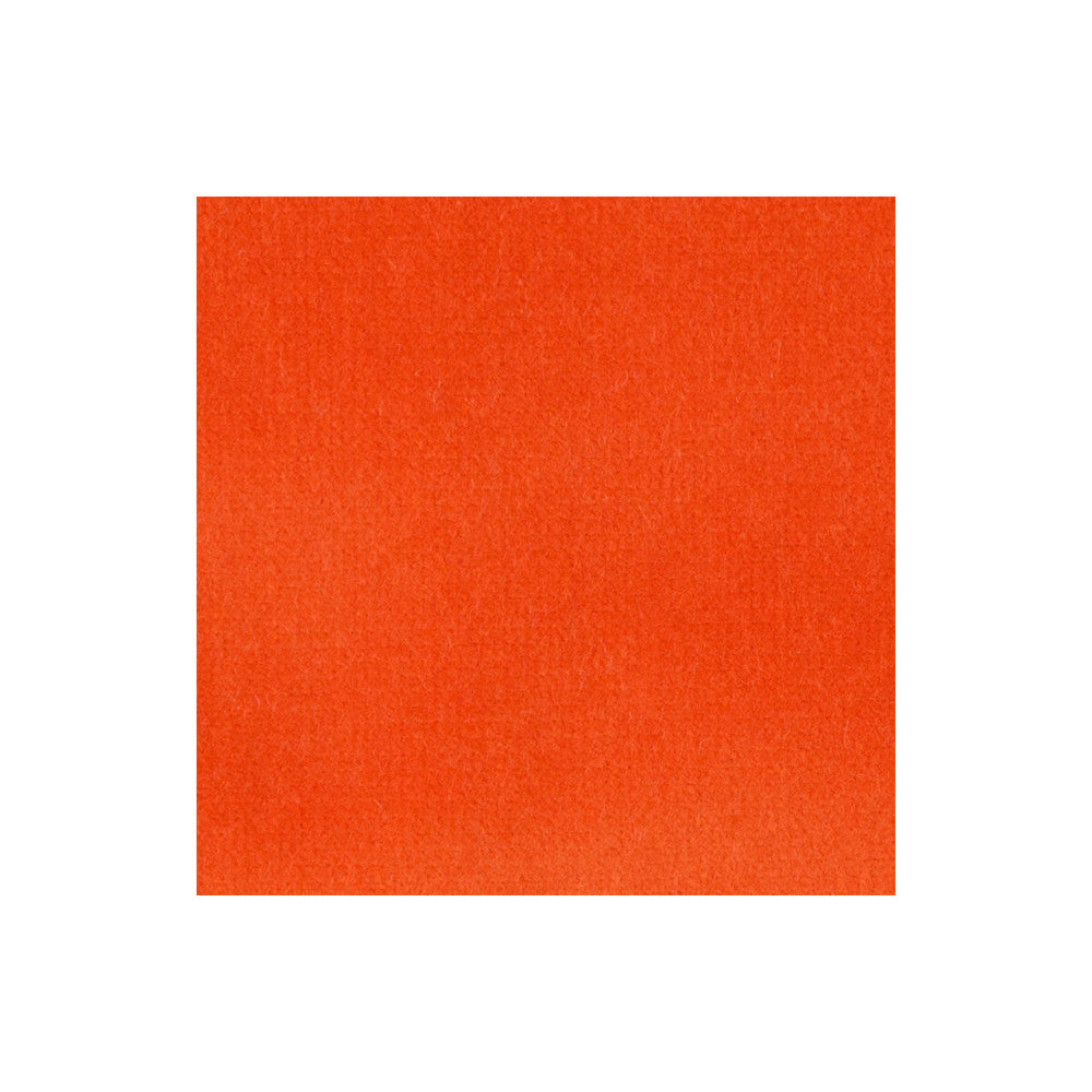 Velvet Treat Orange by Kravet Couture Designer Fabric MODERN COLORS III COTTON - 100% Netherlands HEAVY Horizontal: 0 and Vertical: 0 54 - Swanky Fabrics -