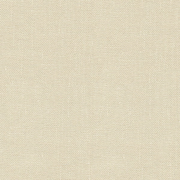 33120.1116 by Kravet Basics Designer Fabric in our sample Polyester 100% India Heavy Horizontal: See Sample and Vertical: See Sample 56 inches - Swanky Fabrics -