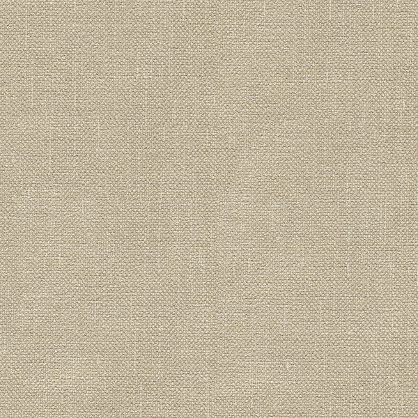 33120.116 by Kravet Basics Designer Fabric Perfect Plains Polyester 100% India Heavy Horizontal: see sample and Vertical: see sample 56 inches - Swanky Fabrics -