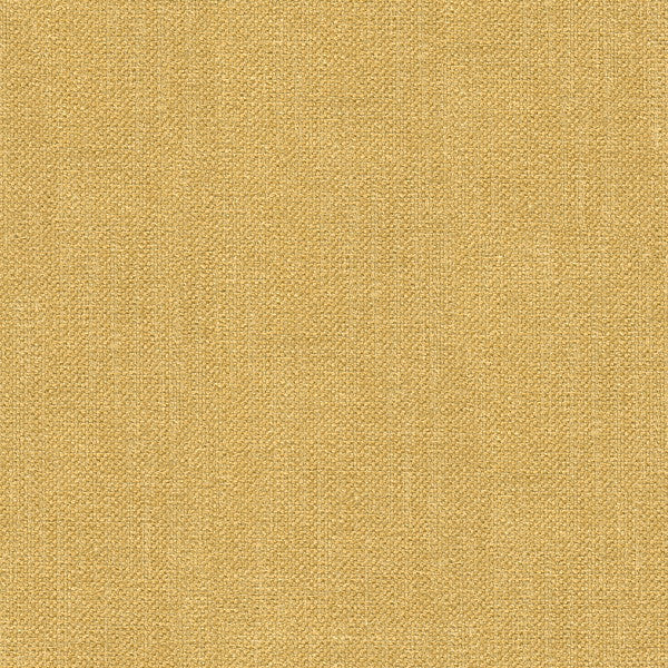 33120.404 by Kravet Basics Designer Fabric in our sample Polyester 100% India Heavy Horizontal: See Sample and Vertical: See Sample 56 inches - Swanky Fabrics -