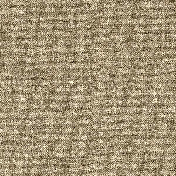 33120.611 by Kravet Basics Designer Fabric in our sample Polyester 100% India Heavy Horizontal: See Sample and Vertical: See Sample 56 inches - Swanky Fabrics -