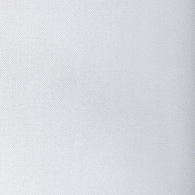 33120.1001.0 by Kravet Fabric Kravet Fabric 33120.1001.0Fabric POLYESTER - 100% India </p><p>Repeat: H: 0, V: 0 54 - Fabric Carolina -