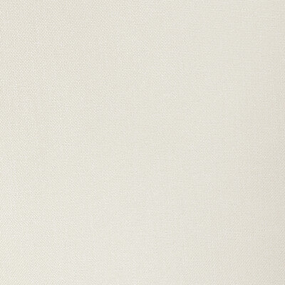 33120.100.0 by Kravet Fabric Kravet Fabric 33120.100.0Fabric POLYESTER - 100% India </p><p>Repeat: H: 0, V: 0 54 - Fabric Carolina -